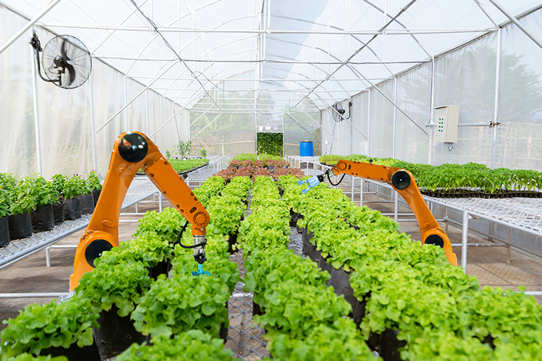 Farmers expect #robots to join seasonal workforce: fpcfreshtalkdaily.co.uk/single-post/fa… #agritech #farming #farmtech #robotics #agtech #foodsupply @NigelFpc @ljbloomfield1 @fpcfreshtalk @Ronald_vanLoon @sallyeaves @JulianLittle4Ag