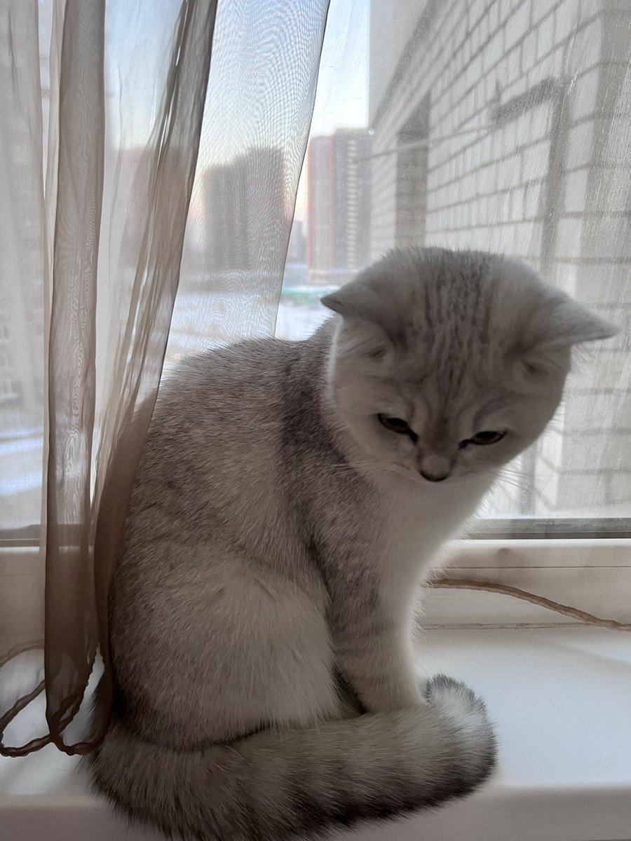 Yaroslava tweet media