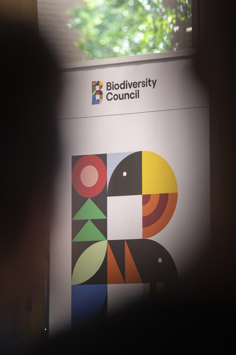 Biodivcouncil's tweet photo. One week in and we have received some amazing support and feedback from all of you. Here are some memories from our launch.

Thanks for following us on social media - please sign up to our other channels and join our newsletter via our website. #biodoversitycouncil 

📷 Ross Bird https://t.co/BoatiLDUjO
