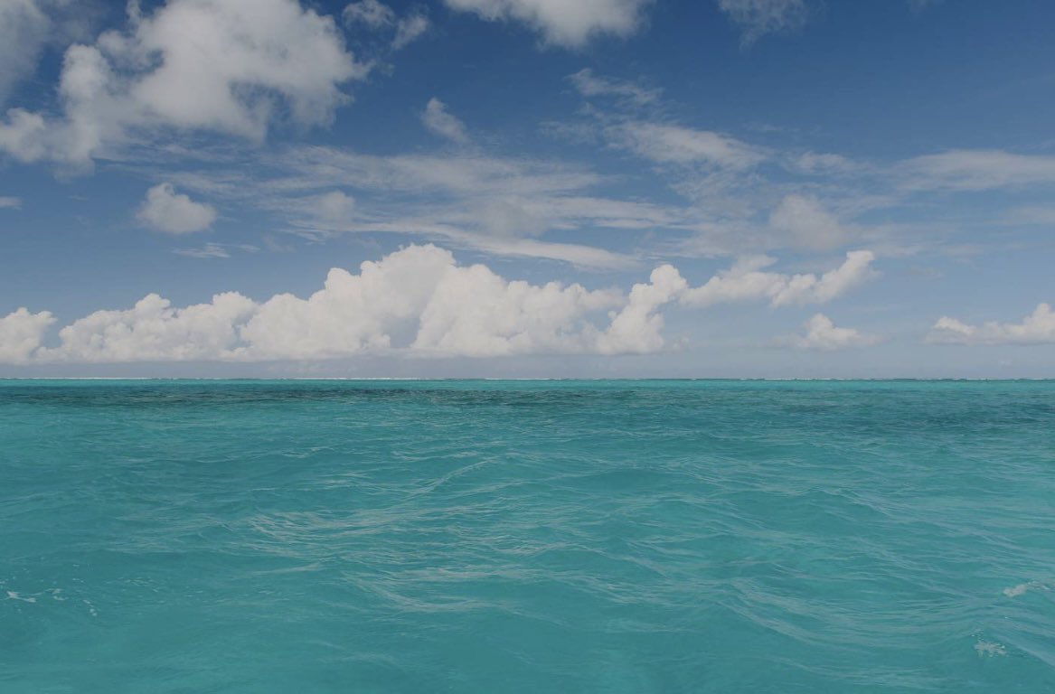 MalihaShah6's tweet image. Silence is an ocean. speech is a river. When the ocean is searching for you, don’t walk into the river. Listen to the ocean. The gravity and power of  stepping back and maintaining complete silence is immense and bears no regrets.
#SilenceIsPower