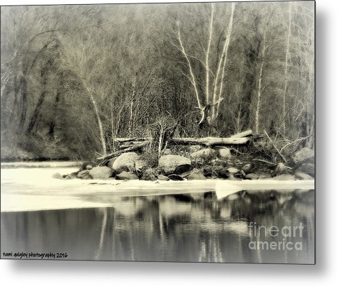 tamitrailscapes's tweet photo. Still December https://t.co/j6D8e20dwj #ThePhotoHour #ArtistOnTwitter #BuyIntoArt #Winter #Monochrome #art for #Christmas #giftidea #wallart #homedecor #officedecor #ChristmasOrnaments! @visitPA #LehighValley @LehighValleyPA @DLNHC #DLNHC #DLTrail #Slatington #December #snow https://t.co/cCBtHaxgLR