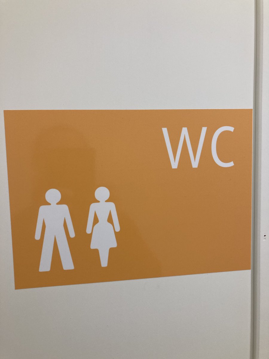 Päivä alkoi pelottavissa merkeissä, kun asioin tässä unisex-vessassa eli niin kutsutussa ”lavrovissa”.