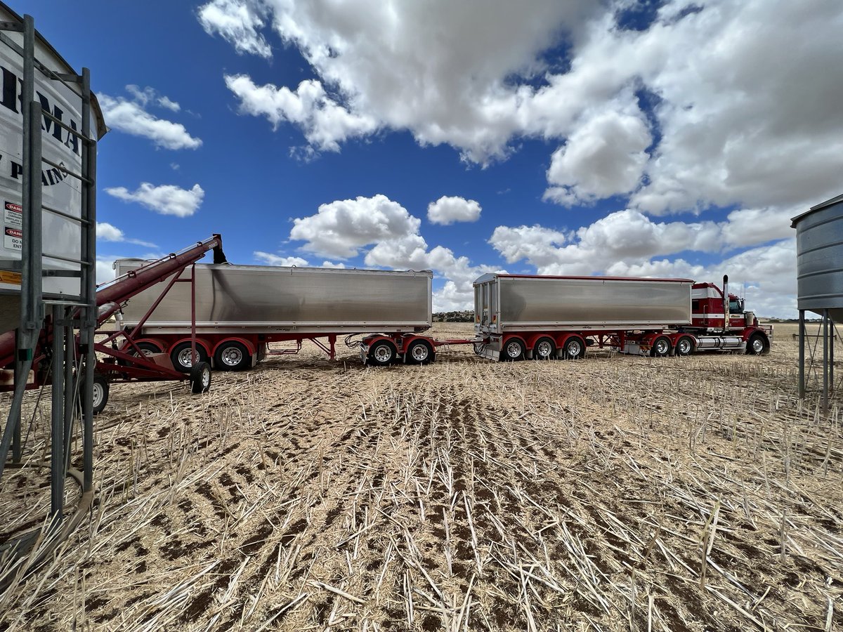LukeSimon18's tweet photo. Some more blue sky would be good thanks #harvest22 #canola #sharman https://t.co/PuYV0tsR5l