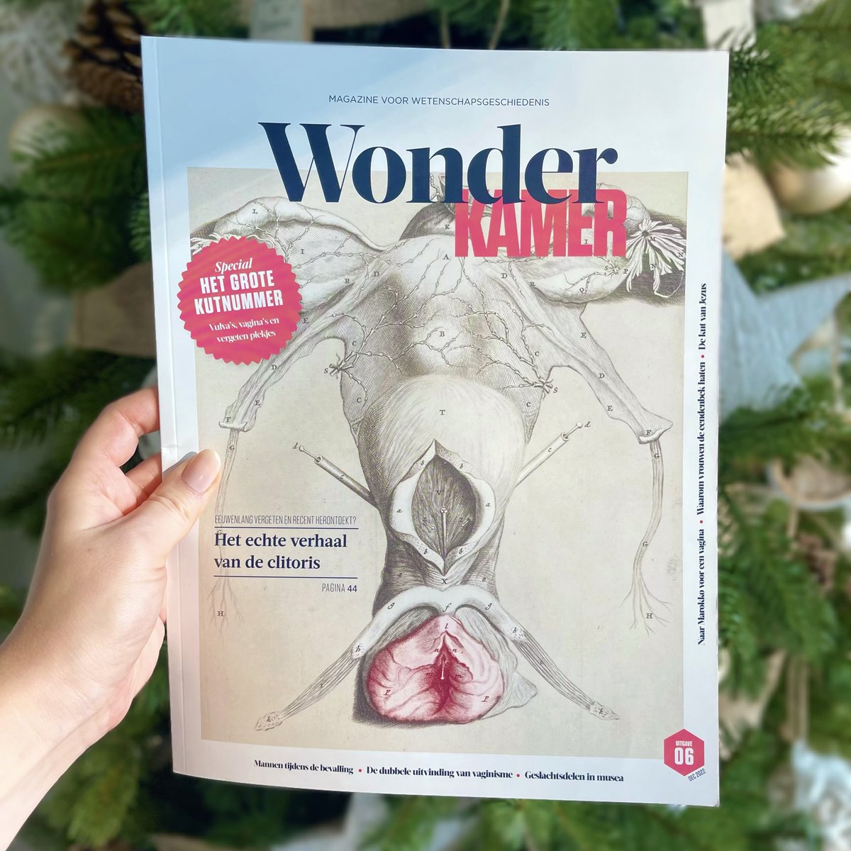 Nog op zoek naar een boeiend kerstcadeau?🎄 De nieuwe #Wonderkamer is een  echt 'kutnummer' dat je moet gelezen hebben!🤩 Bestellen kan via de website van <a href="/GewinaS/">Gewina Society</a>. Beluister ook de VRT-podcast (#Voorproevers) met @DrTinneClaes en <a href="/lindemerckpoel/">Linde Merckpoel</a>: 
vrt.be/vrtnu/podcasts…