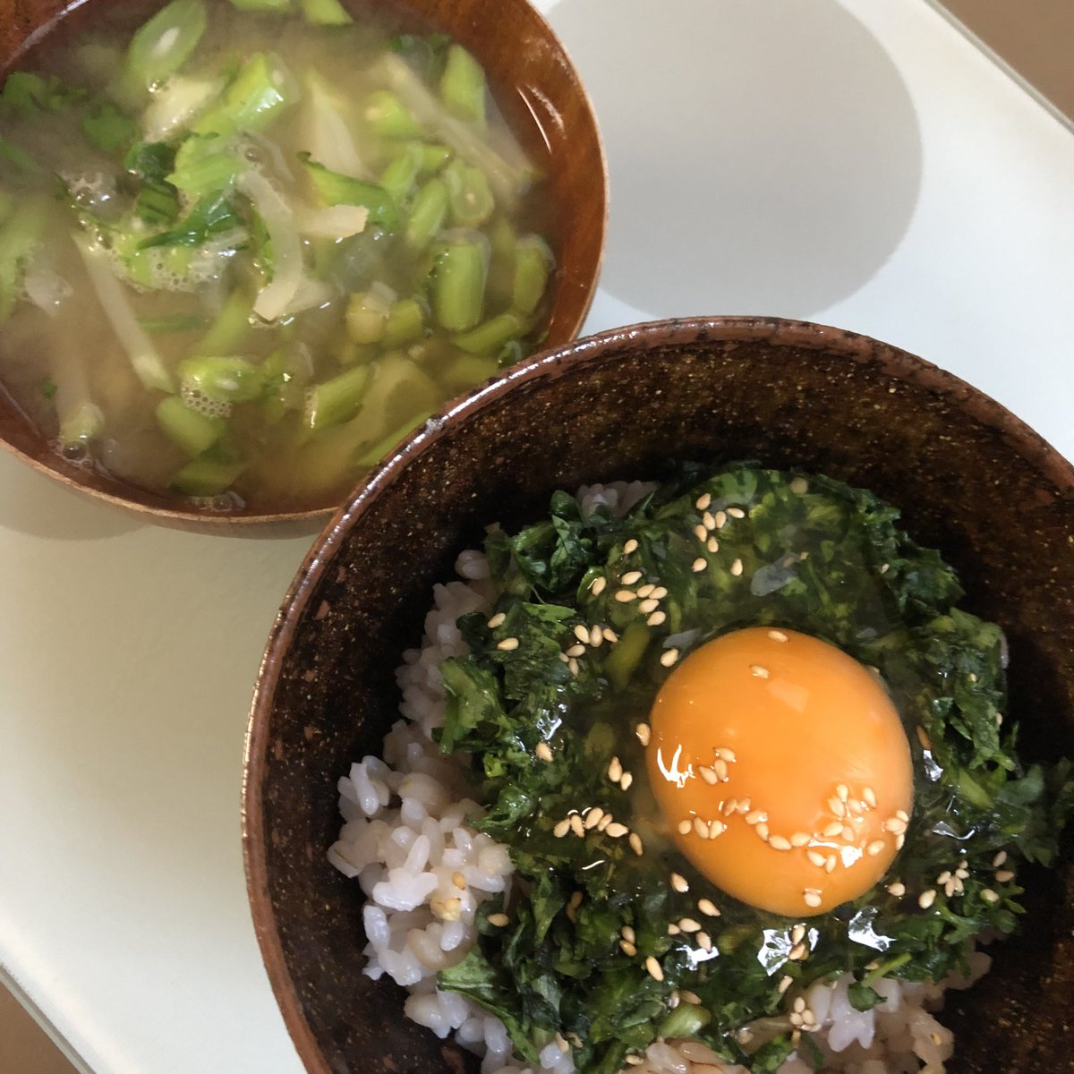 今朝は春菊をふんだんに使いました、軸は硬いので味噌汁に、葉は小口切りにして塩で揉みごま油を回し温かいご飯の上に乗せ 生卵和、胡麻、醤油をかけて完成！ 香りが強く、栄養満点！炒めても良し！鍋だけでは勿体ないですよね〜。