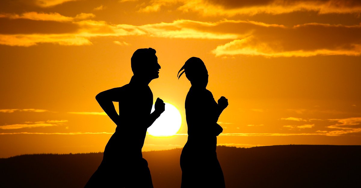 Adrian Monti tweet media