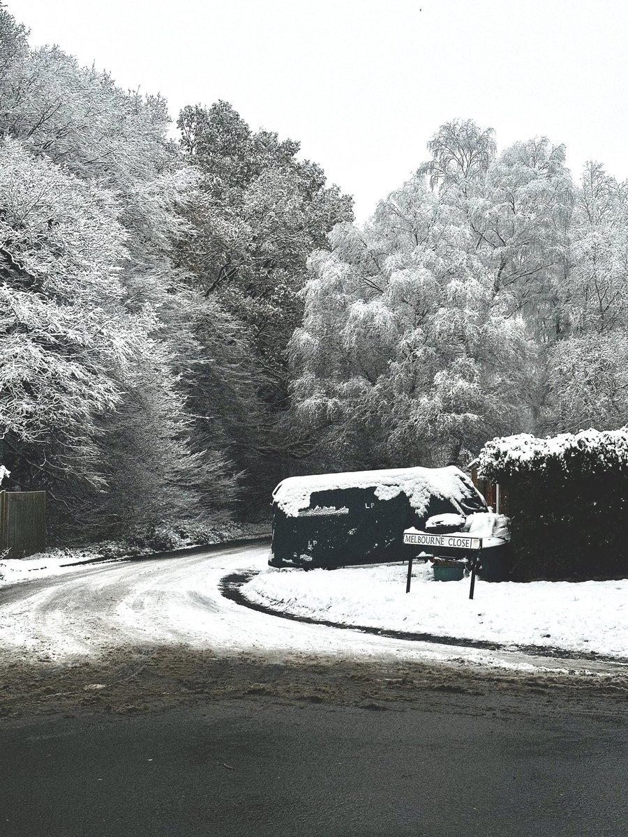 stillsbyjo's tweet photo. snowy contrasts https://t.co/5frbllYoTG
