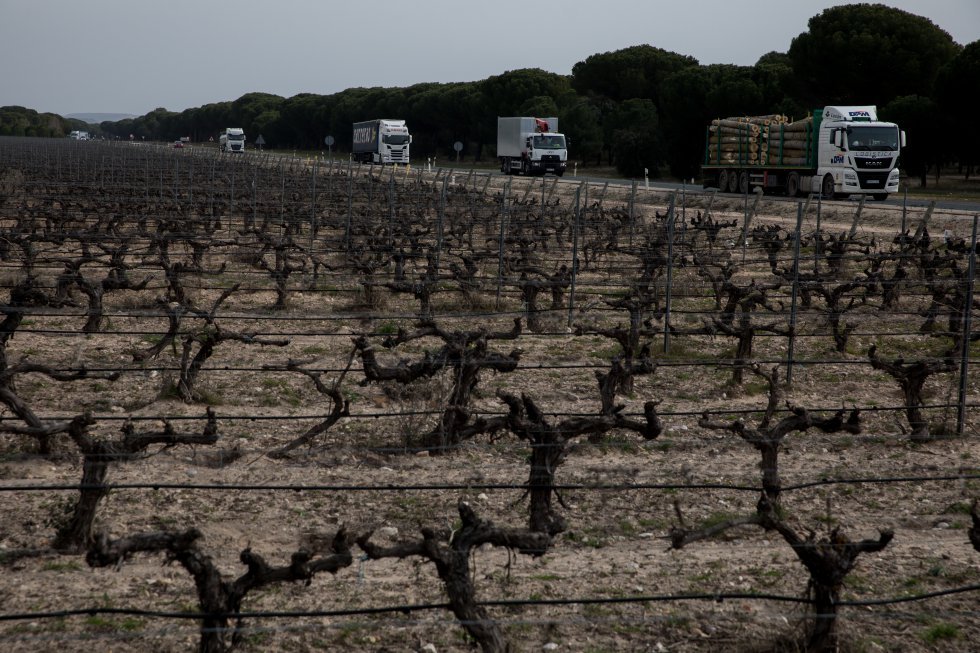 Juan13Navarro's tweet photo. La carretera n-122, que surca Castilla y León de este a oeste, asusta. Varios accidentes y muertes recientes recuerdan su peligro. Esta semana en Sardón de Duero (VLL) ha dejado un muerto y dos heridos graves. Aquí datos para entenderla tras recorrerla en 2021.
📸 Víctor Sáinz. https://t.co/VPTx8nRpN6