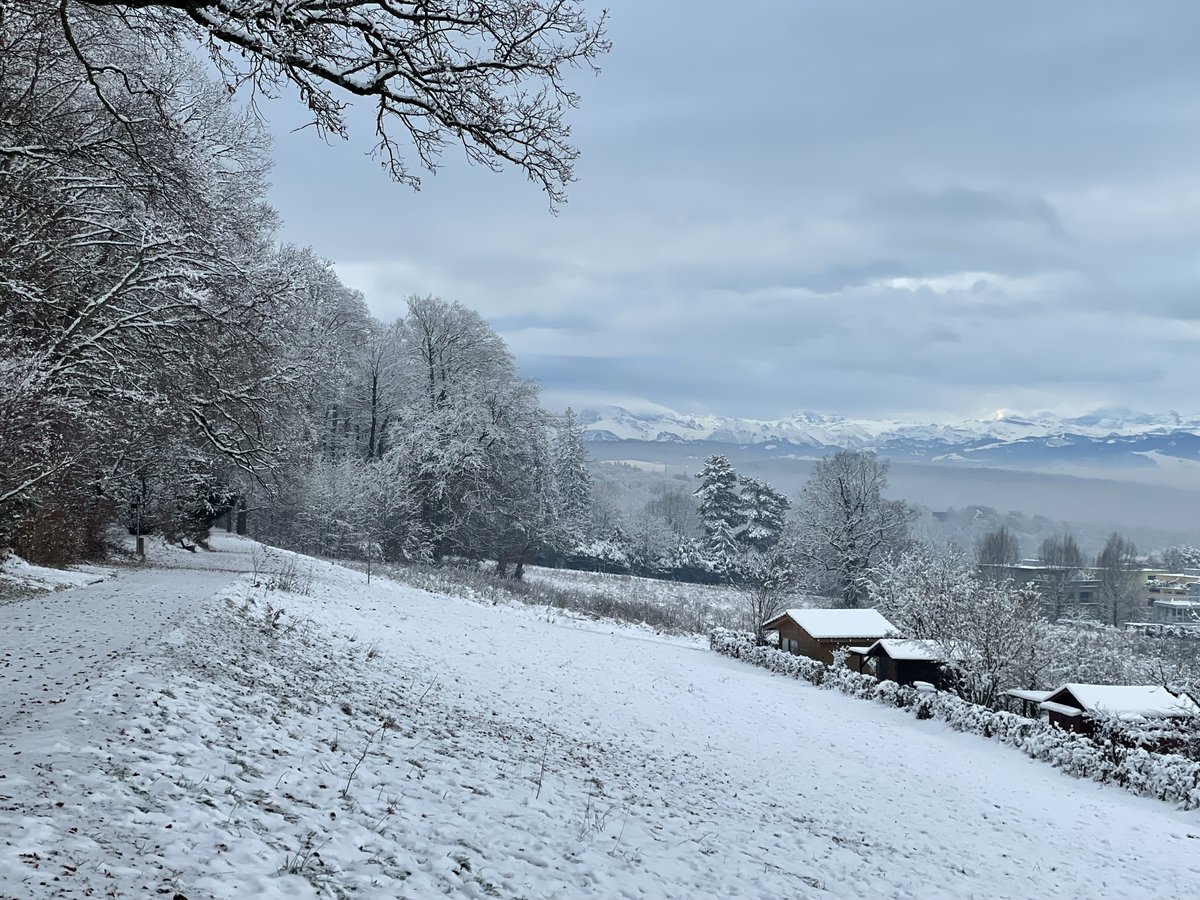 Zhendong Su tweet media
