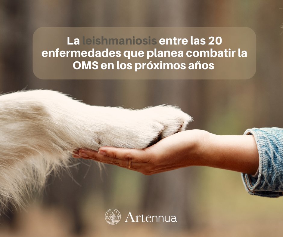 ARTENNUA® tweet media