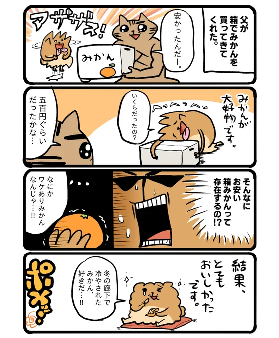 ハッピーみかんライフ…🍊 #エッセイ漫画 