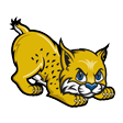 TrainerBobcat's tweet photo. @Bennett_ES hey bennett, this look familiar? you may have changed the eyes and added a tongue but this is my logo https://t.co/Qrolb7ZMvK