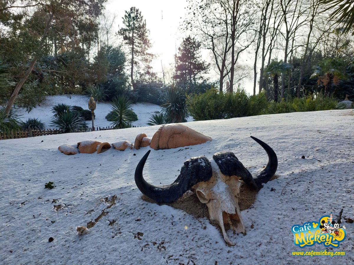 Cafe_Mickey's tweet photo. Meer foto's van de sneeuw in Disneyland Paris vandaag ❄️
#cafemickey #live #DisneylandPark #DLPInsidEars https://t.co/pYJN4gM1QN