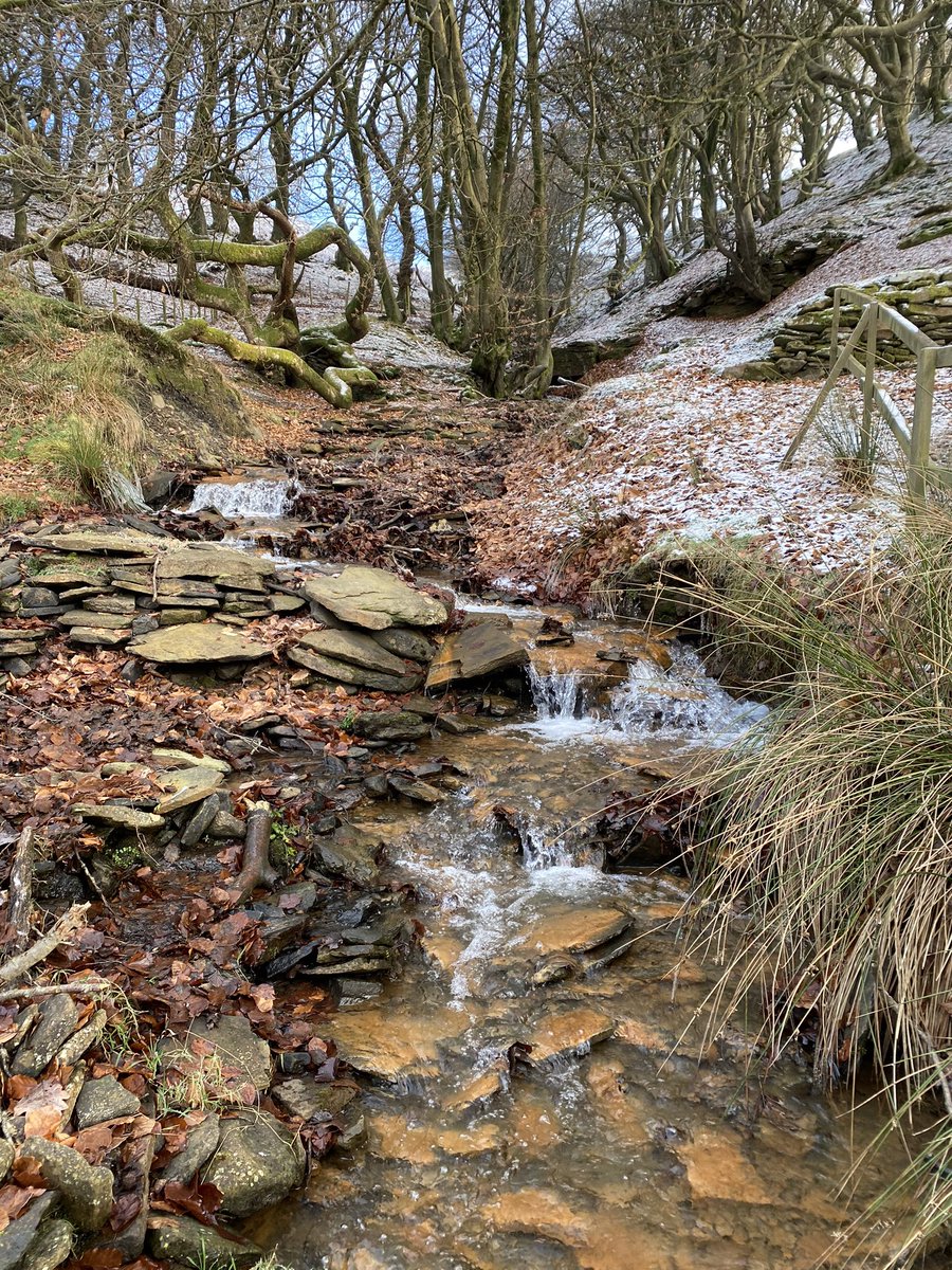 LindaBr62511083's tweet photo. Beautiful day for walk ❄️ #mountainwalks #walklocal #crispwinterwalks https://t.co/GJ4tx856Pz