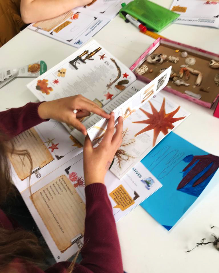 LeaveNoTraceIrl's tweet photo. 📸 An example of the activities & workbooks used during the #ExplorersEducationProgramme (@explorersedu) in Primary Schools across Ireland 🦀
Whether on a seashore safari or keeping things to the classroom, this programme is about getting students engaged & interested ...
1/2 https://t.co/E7poq06WFg