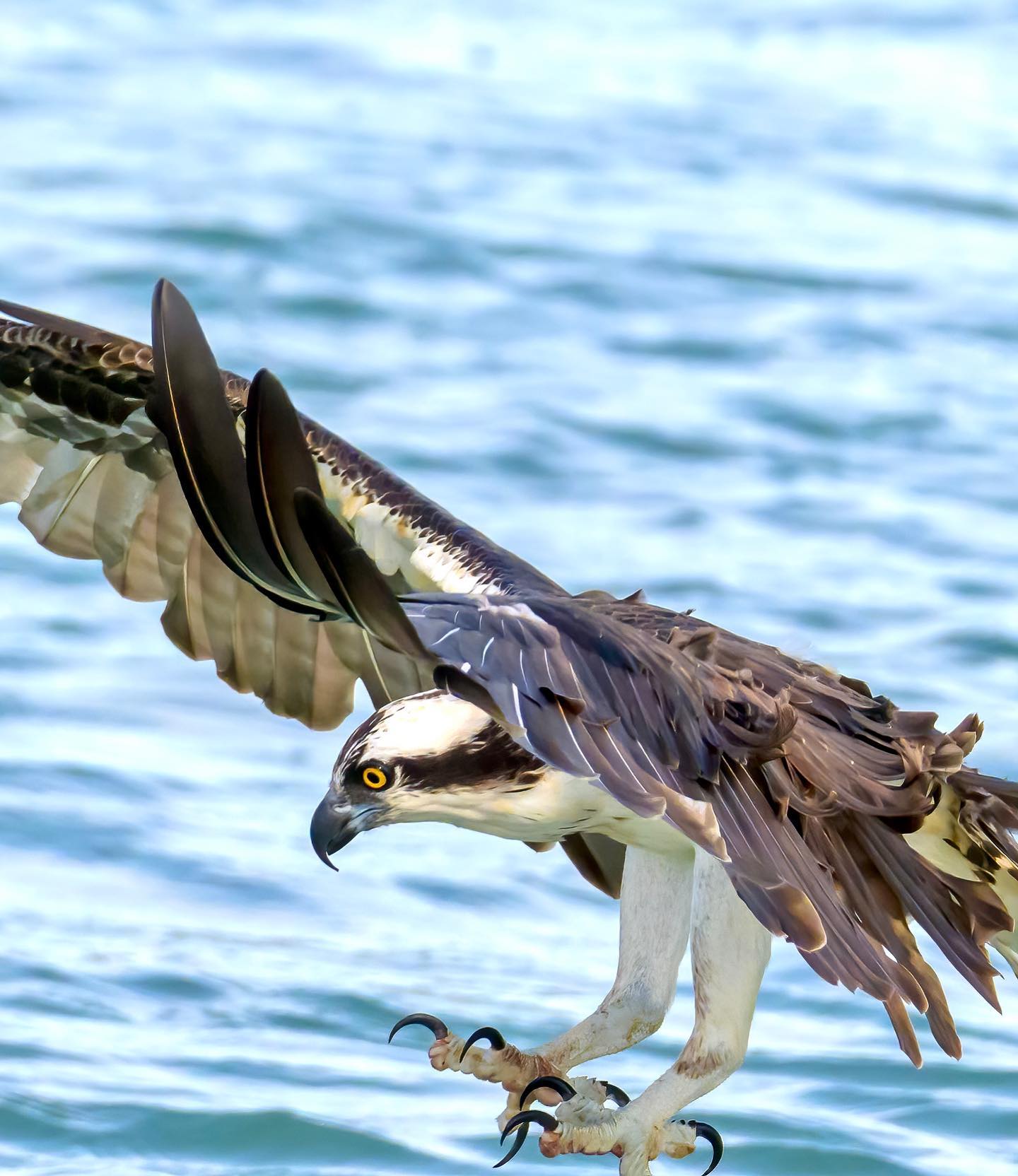 Florida State Parks (@FLStateParks) / Twitter