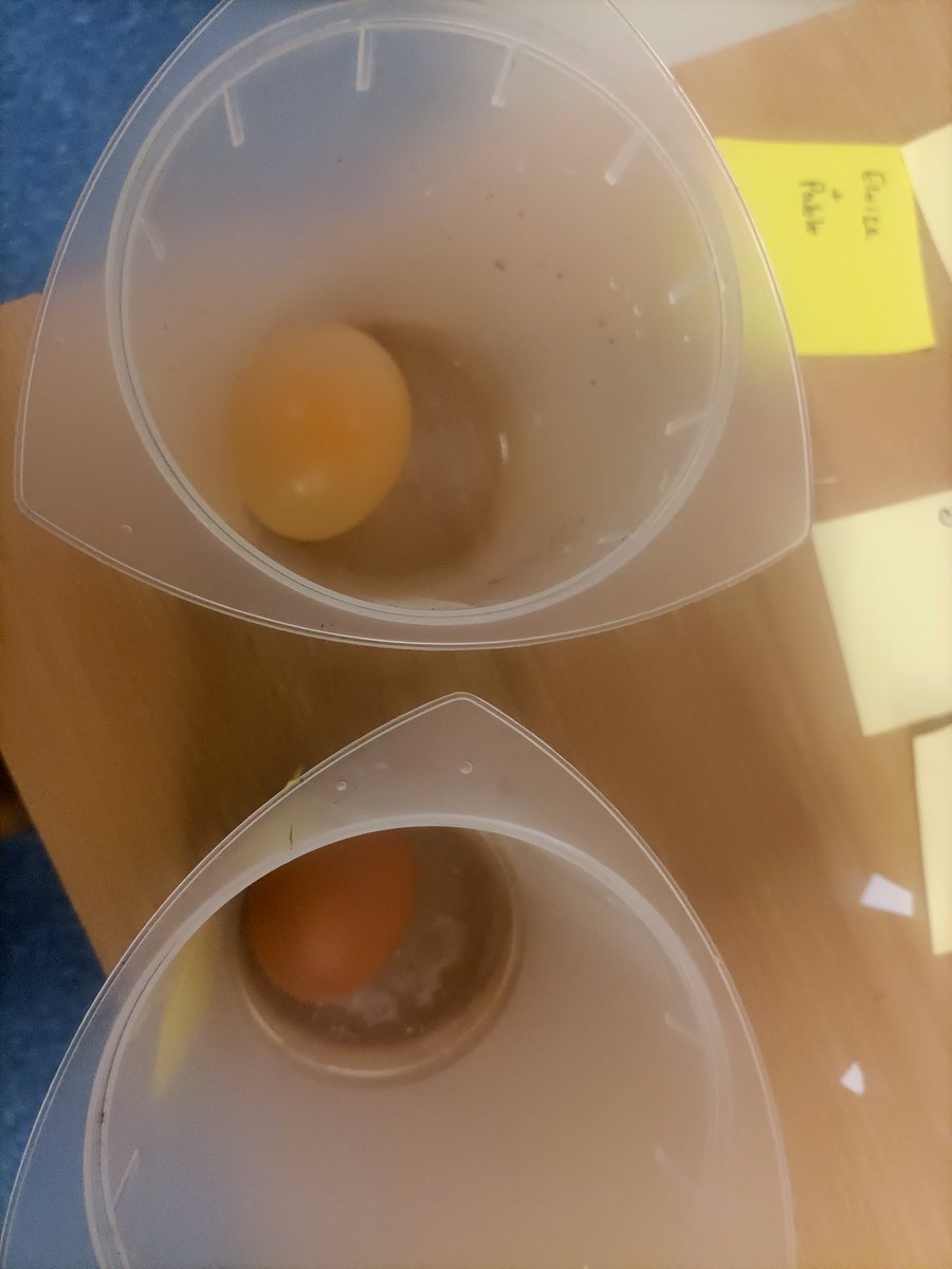 sammiemitch1973's tweet image. Grade 5 had a lot of fun doing this experiment. Lots of great conversations before, during and after. We had a few bouncy eggs and thoughts that maybe oj would possibly work if it was left for a long time. #bouncyegg #science #inquiry #fun #g5 #istlive