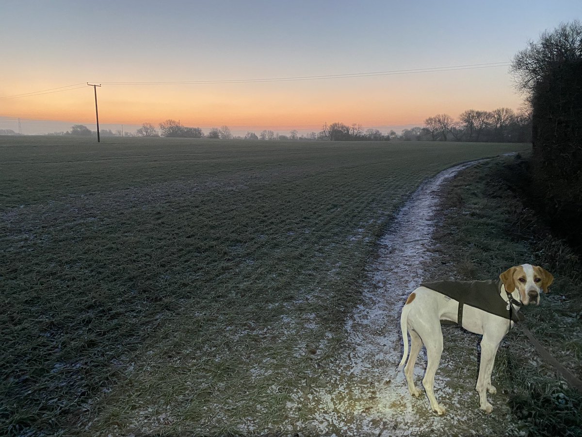 It might be a tad chilly this morning, but at least it’s pretty…. #frozenface #boomerwalk #readyfortheday