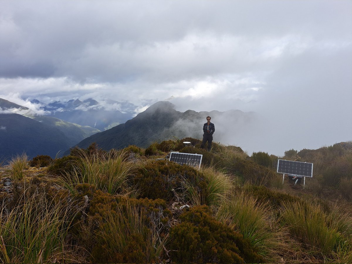 Calum Chamberlain tweet media