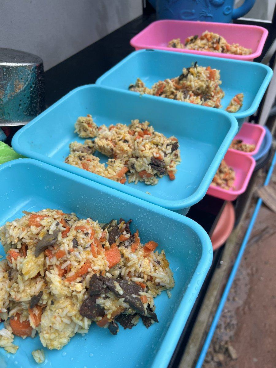 Niall Harbison tweet media