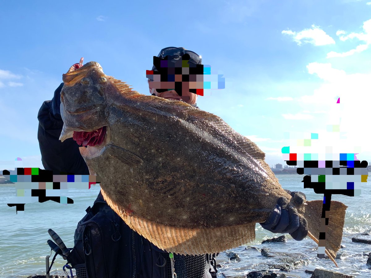runGUN_angler's tweet photo. 今日の休日釣行🎣
爆風(最大風速9m)中ウェーディング釣行🐟
ヒラメ初めて約5年。
やっとです。座布団🎣
今日の釣果
ヒラメ72センチ
マゴチ55センチ
#岡山ウェーディング
#鮃狂
#ヒラチャレ
#岡山ヒラメ
#岡山鮃 https://t.co/vP230dBjCJ