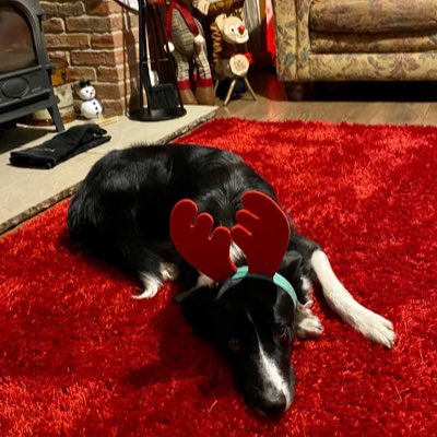 Karen Hopkinson tweet media