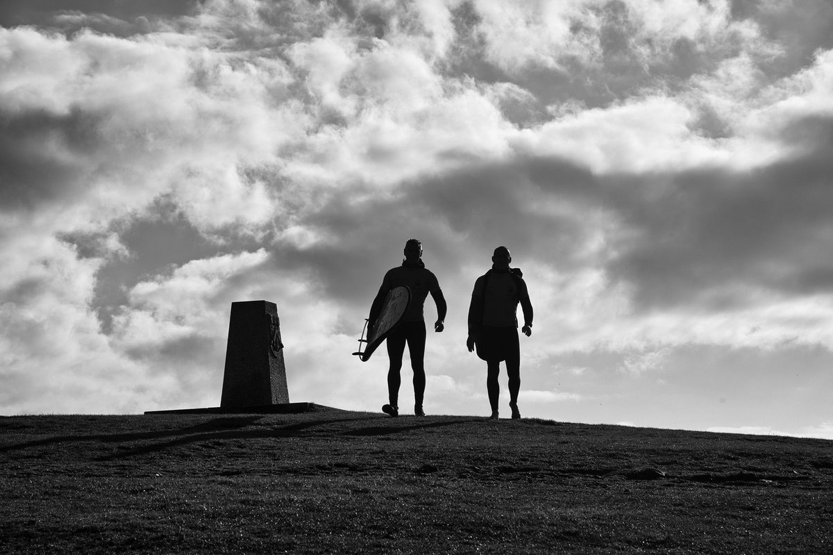 Surfwell tweet media