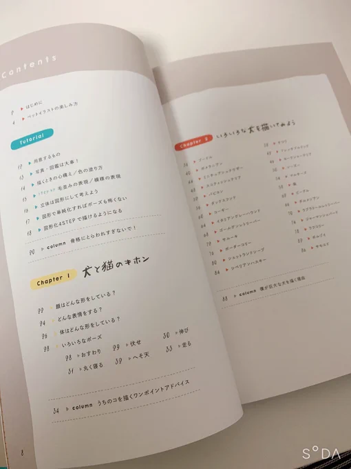Sakioさん()の初書籍「4ステップで誰でもかわいく描ける いぬとねこのイラスト練習帖」の献本を頂きました!可愛い画集としても、練習帖としてもおススメです...!イラストは本に書いてある手法で真似して描いたラグドールです 