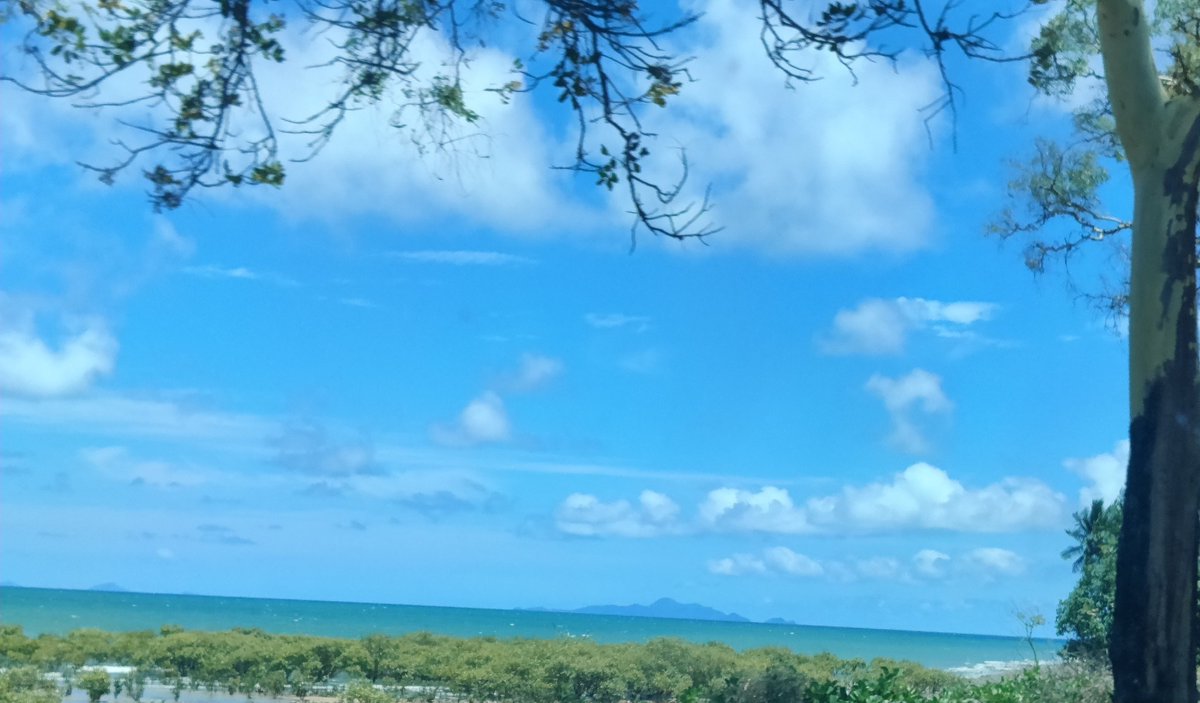 HostBrian's tweet image. @MRsalakas I am finding your rawness refreshing. What I am reading matches who I have known for many years. TY for compiling your thoughts &amp;amp; articulating them well. Reading #aMammothLesson while on holidays is reenergising after a year of challenge. #aussieED #MammothLearning