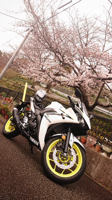 YZF-R25 (2018)風呼(ふうこ)ちゃん!!#バイク擬人化 