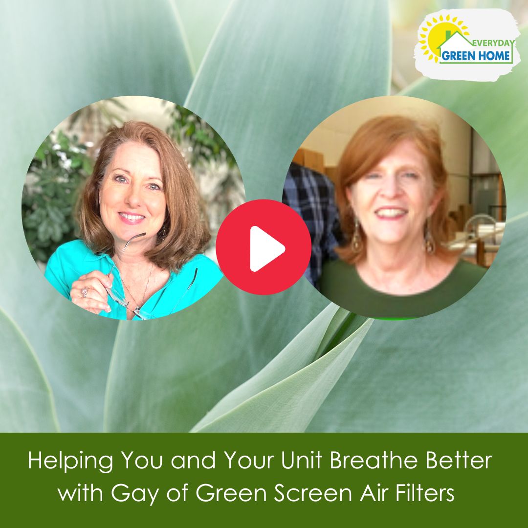 Many different aspects of our homes may impact our health and well-being and the ease with which we can maintain them.
I’m Marla, the Green Home Coach! Today, Gay Harris of Superior Air Quality and Green Screen Air Filters joins me to discuss better air greenhomecoach.libsyn.com/helping-you-an…