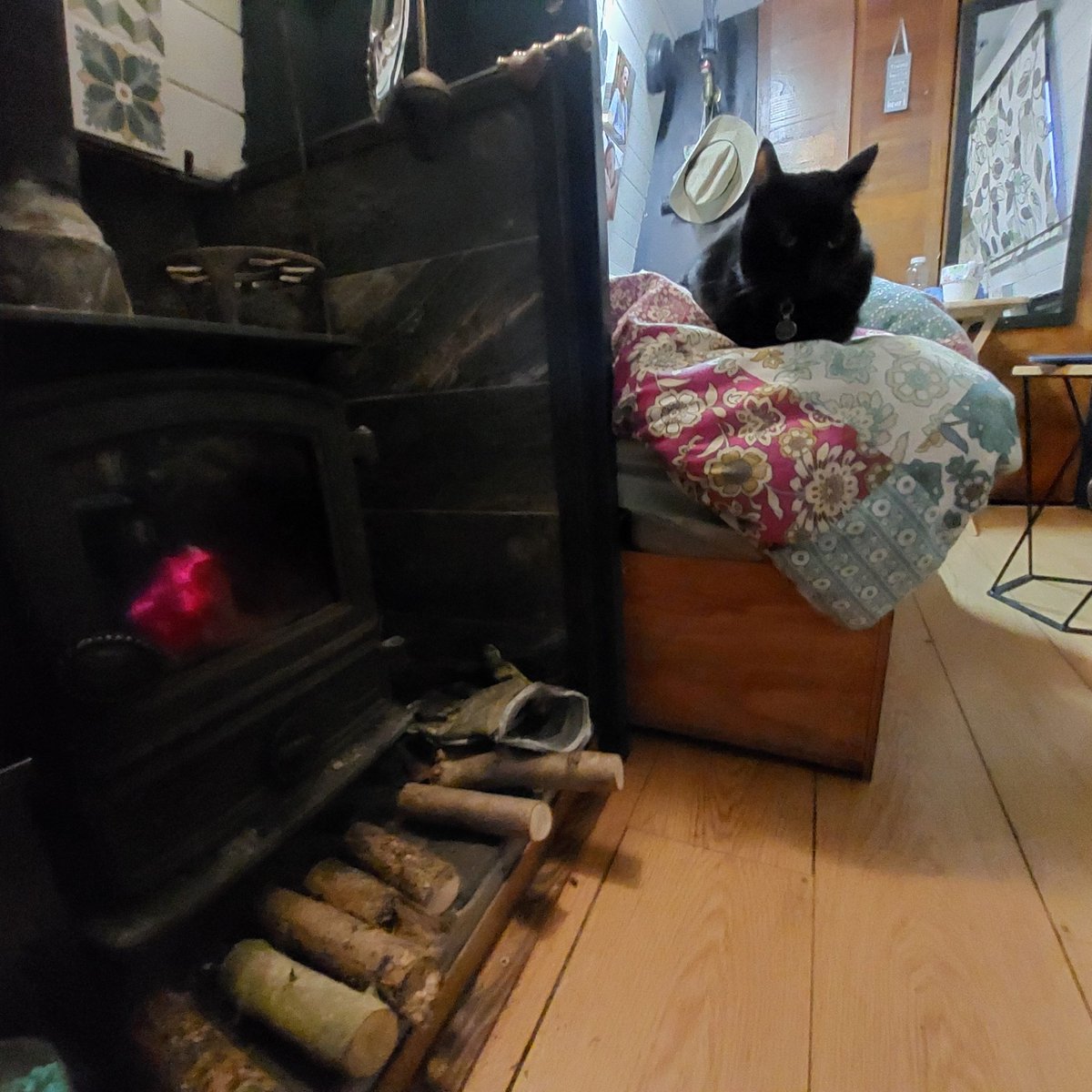 FloatMyBoat__'s tweet photo. Minus 5 degrees outside ❄️ Even the ship's cat has deemed it too cold to venture out!! Stove stoked up 🔥 so warm inside, and hoping I may be able to move on at the weekend 🤞🤞
#narrowboatlife #floatmyboat #narrowboat #CoventryCanal #ice #icedin #freezing #BoatsThatTweet https://t.co/woRp9s7MWY