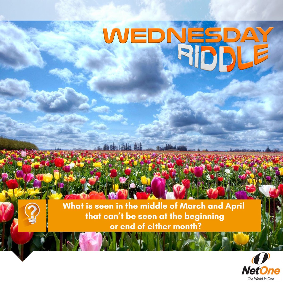 NetOneCellular's tweet photo. #FollowNetOneAndWin
Can you crack this riddle? https://t.co/CVUGsgQOR8