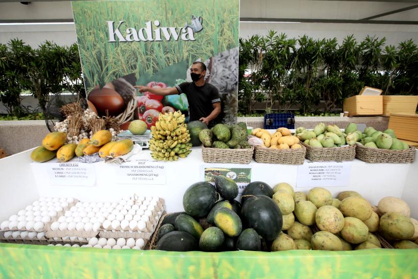 Philippine News Agency on Twitter "Visitors and employees of GSIS buy