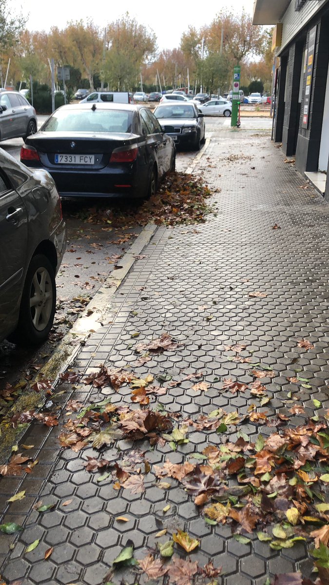 CaalitoEspinosa's tweet photo. ¿Esperamos a que entren en nuestros negocios o viviendas?
Después tendremos que denunciarlo al consorcio cuando podrían “anticiparse” @LipasamSevilla @Ayto_Sevilla #losremedios https://t.co/pLvKxA9VBr