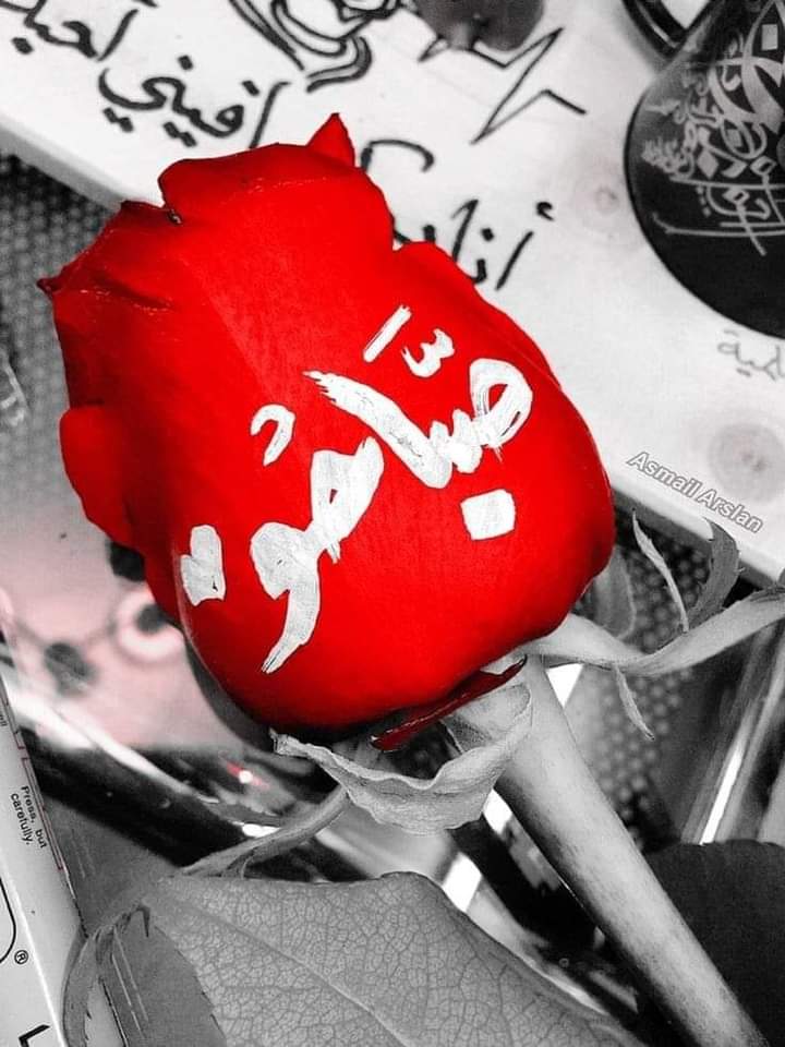 احمد احمد tweet media