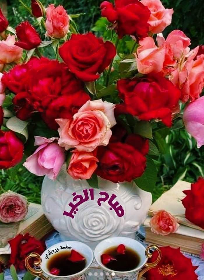 وحى الألم.....511@ tweet media