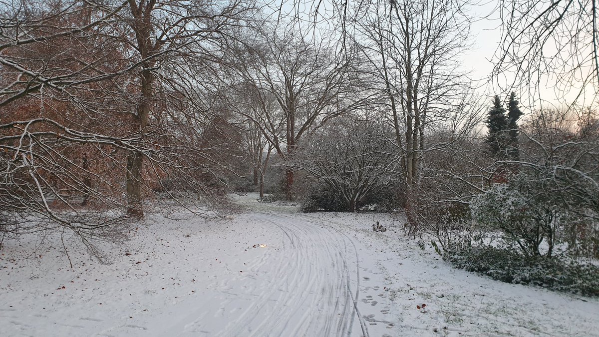 DHureaux's tweet photo. Enfin du #velotaf dans des conditions idéales #Caen https://t.co/PGVaii5nrp