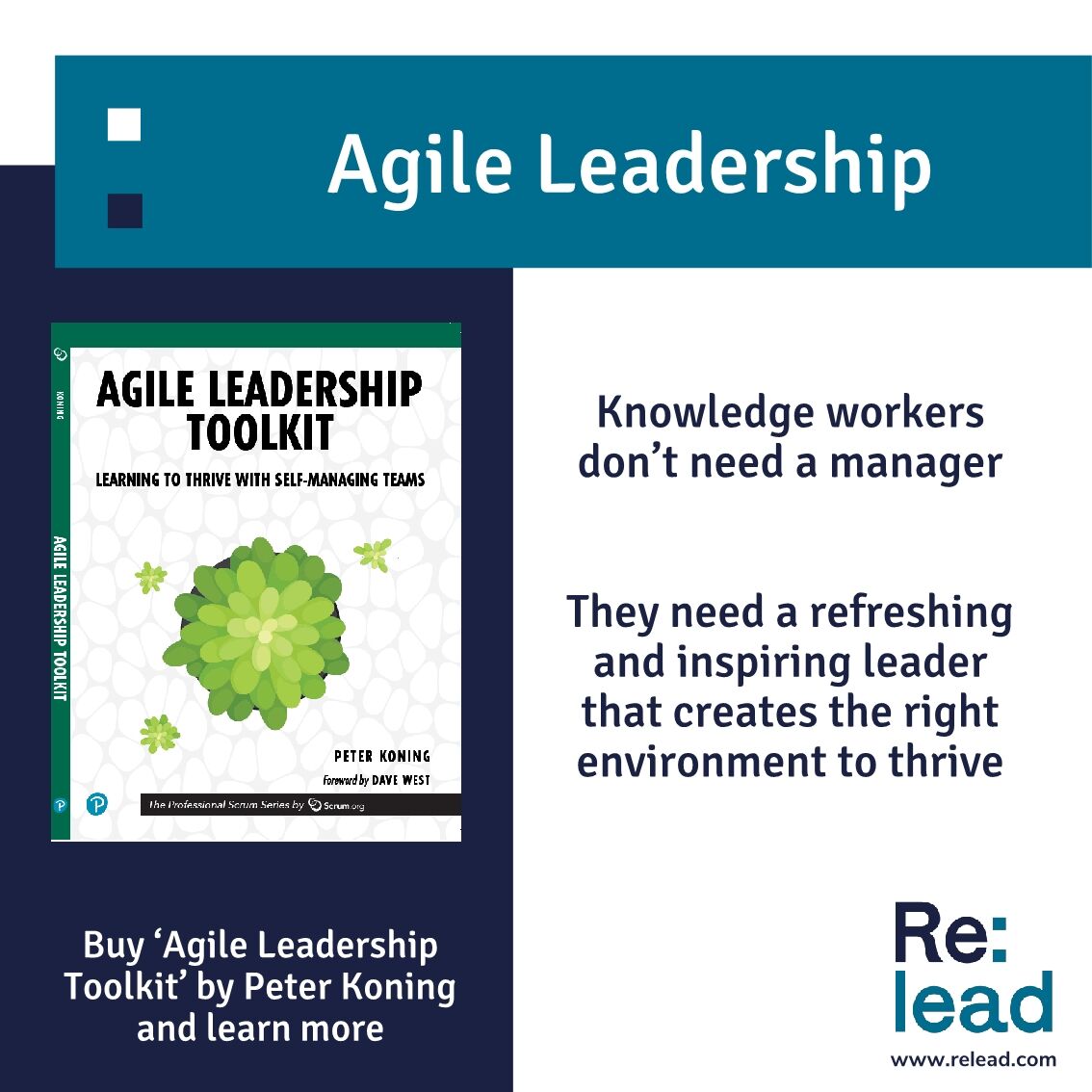 Peter Koning tweet media