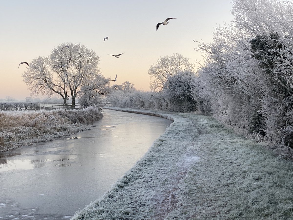 Gosh it’s a cold one this morning. Off to scatter bird seed and suet and feed the ducks. The gulls have already found me!
