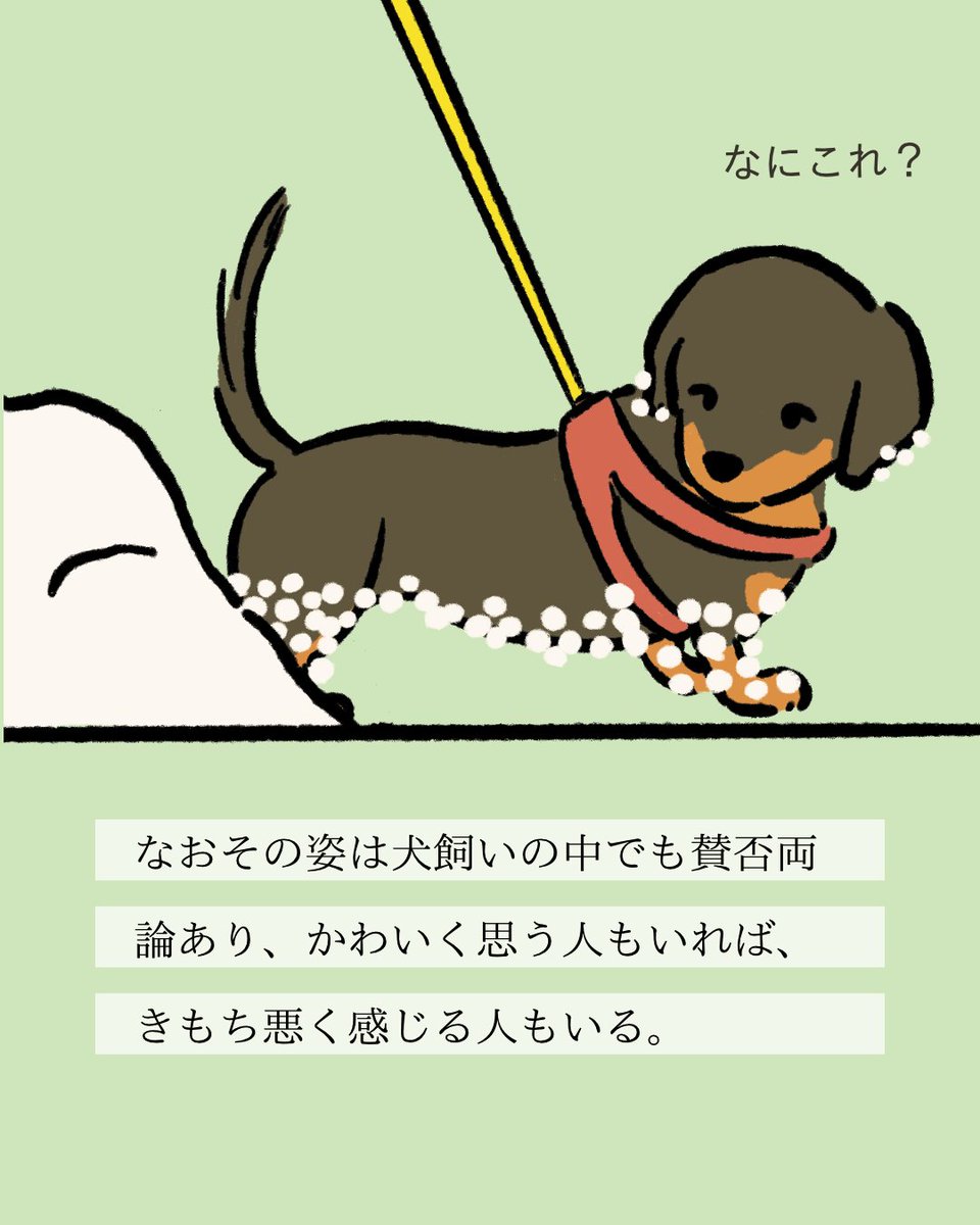 【#変な犬図鑑】
No.224 ユキダマツキーヌ
雪の中を歩いて体に雪玉を作るあの犬です。 