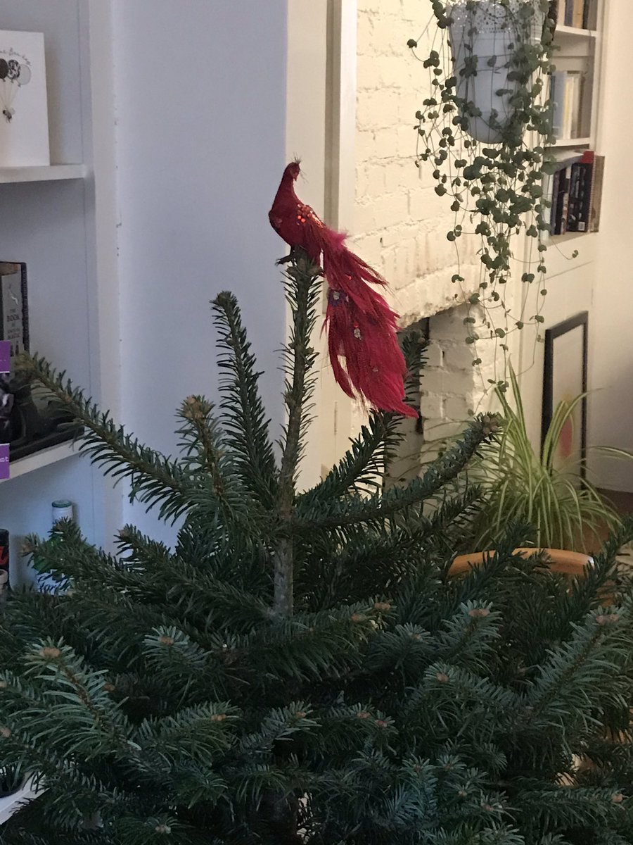 Jane Alexander tweet media