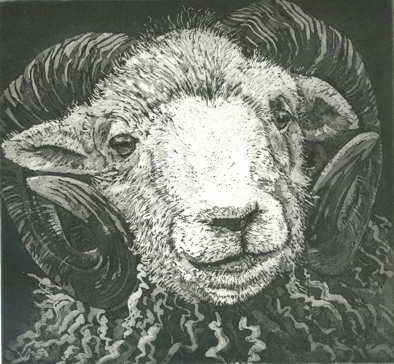 artspringallery's tweet photo. Today’s ArtSpring Featured Artist is Claire Longley
To see more of her work, go to https://t.co/ugwDs1eHXh
#prints #etching #animals #birds
#tonbridge #highstreet
#ceramics #jewellery #prints #metalware #painting #print #mixedmedia #sculpture https://t.co/o9vw6U9jJG