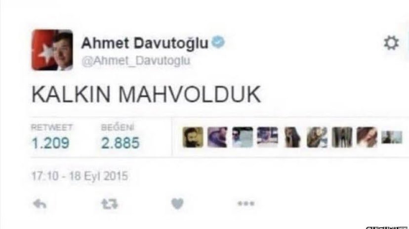 Tansut tweet media