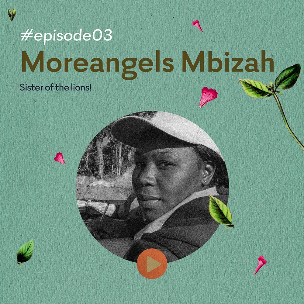 MUVA_Moz's tweet photo. Listen to the episode with @MoreangelsM  on https://t.co/0DfgjeW56f or https://t.co/0tqkxCXvQ6

Funded by @AFD_France 
Recorded by Pipoca Sound - Carson Studio https://t.co/bQBi2KpD0V
