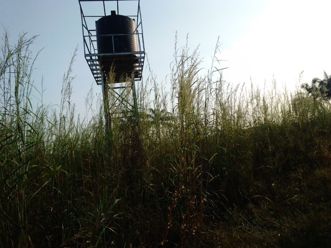 FRAUD!!!

Dear <a href="/icpcnigeria/">ICPC Nigeria</a>,

N61,089,786.00 was BUDGETED in the 2022 FG budget for the Uburu farm project, Ebonyi State.

We tracked and reported that only a solar borehole was constructed in an empty plot of land where few cassavas crop were planted.