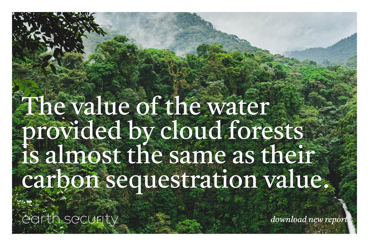 Earth Security tweet media