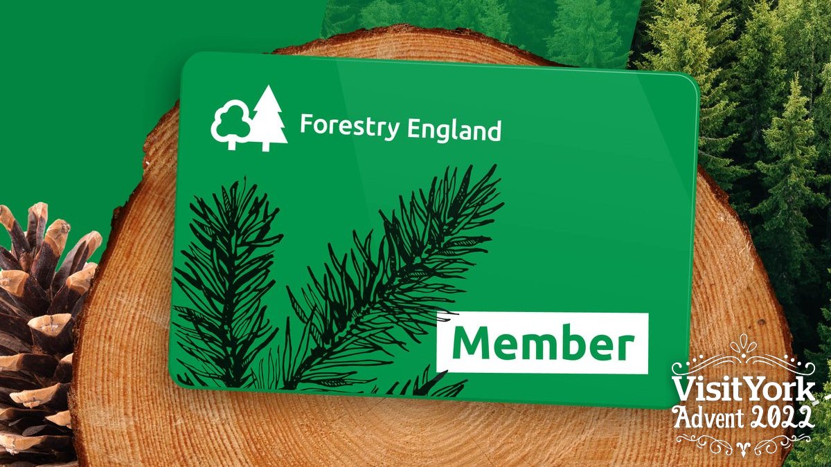 VisitYork's tweet photo. 🎄 Day 5 of #VisitYorkAdvent giveaway 🎄

Win a year's membership at Dalby Forest! 🎁

To enter retweet this tweet within 24 hours and follow both @VisitYork and @Dalby_Forest 🤞

https://t.co/MQAcTMYrzP https://t.co/eOr3fcZUh9
