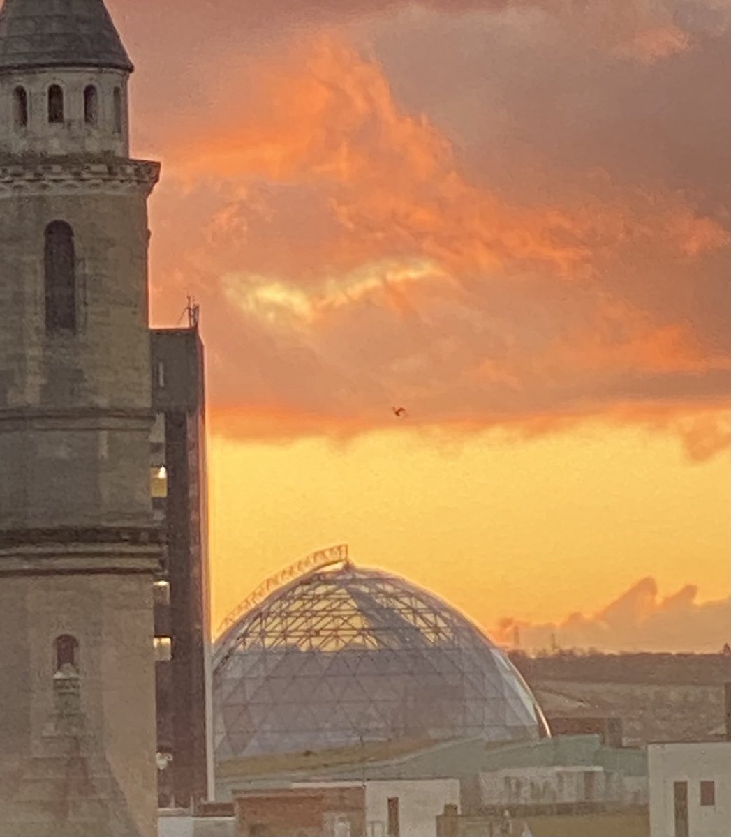 Brian Murphy tweet media