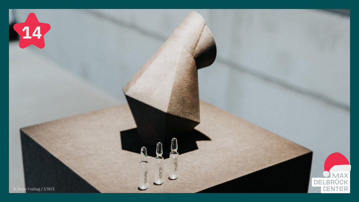 MDC_Berlin's tweet photo. Im Rahmen der ersten europäischen #ArtistResidency zum Thema CRISPR-Cas war die finnische Künstlerin Emilia Tikka 2018 zu Gast in den Laboren des #mdcBerlin – und sammelte Inspirationen für ihr Werk „ÆON. Trajectories of Longevity and #CRISPR“: https://t.co/3O5zwVIRY3 #mdc30 https://t.co/7WeaoyAtyV